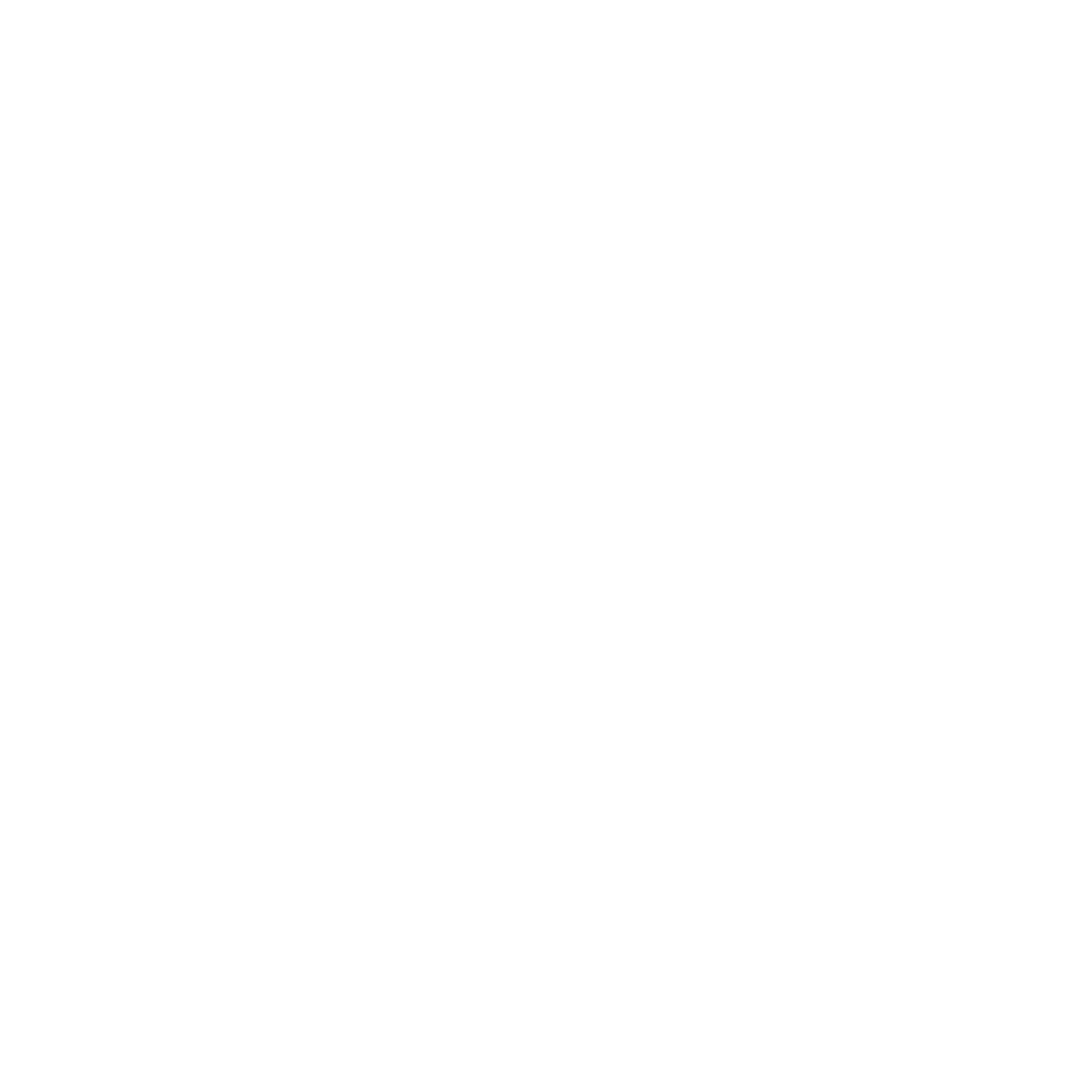 IAA Maldives Logo