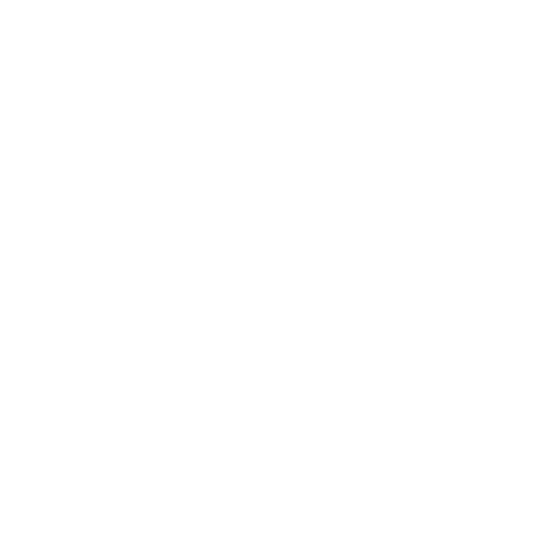 IAA Maldives Logo