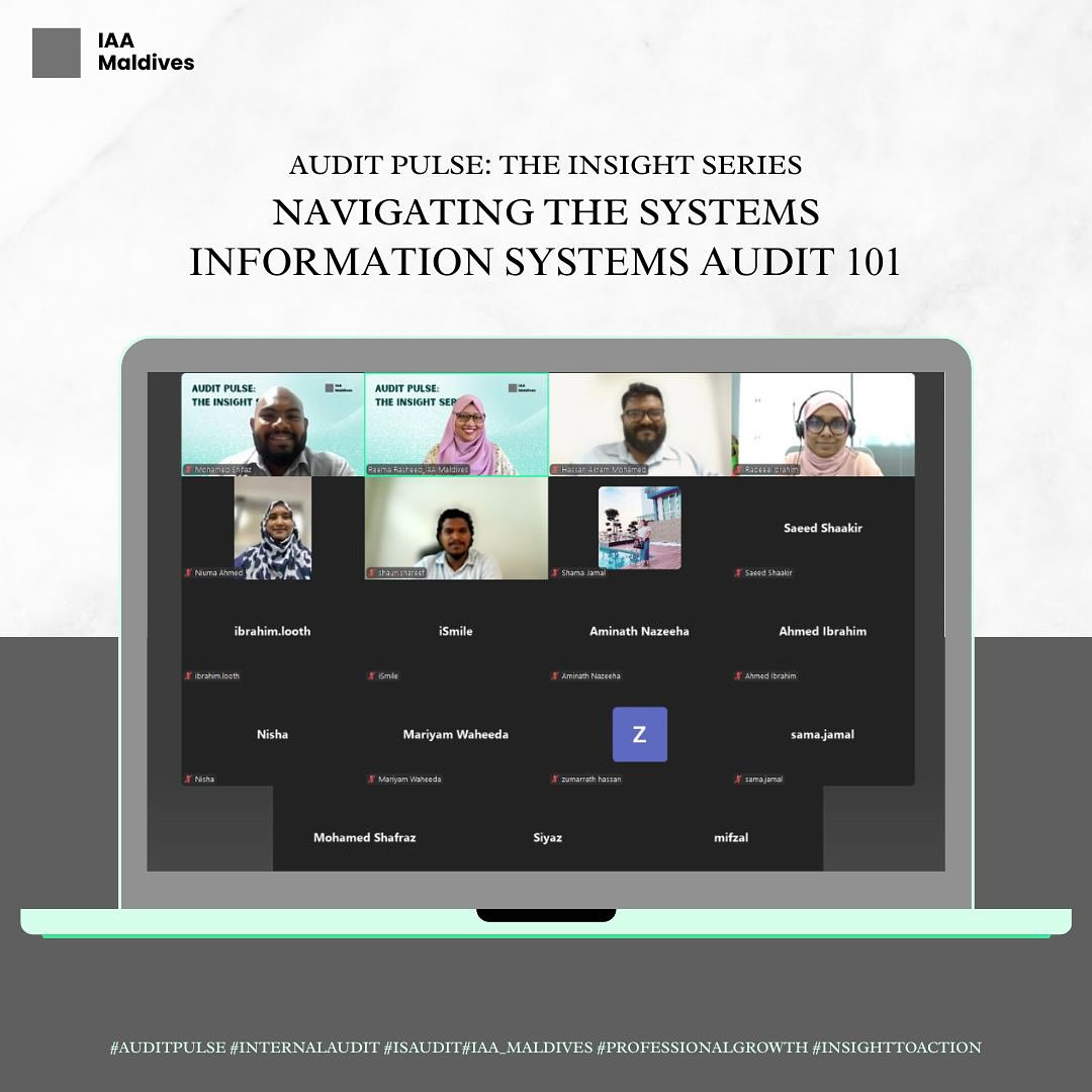 Audit Pulse: Navigating the Systems — Information Systems Audit 101
