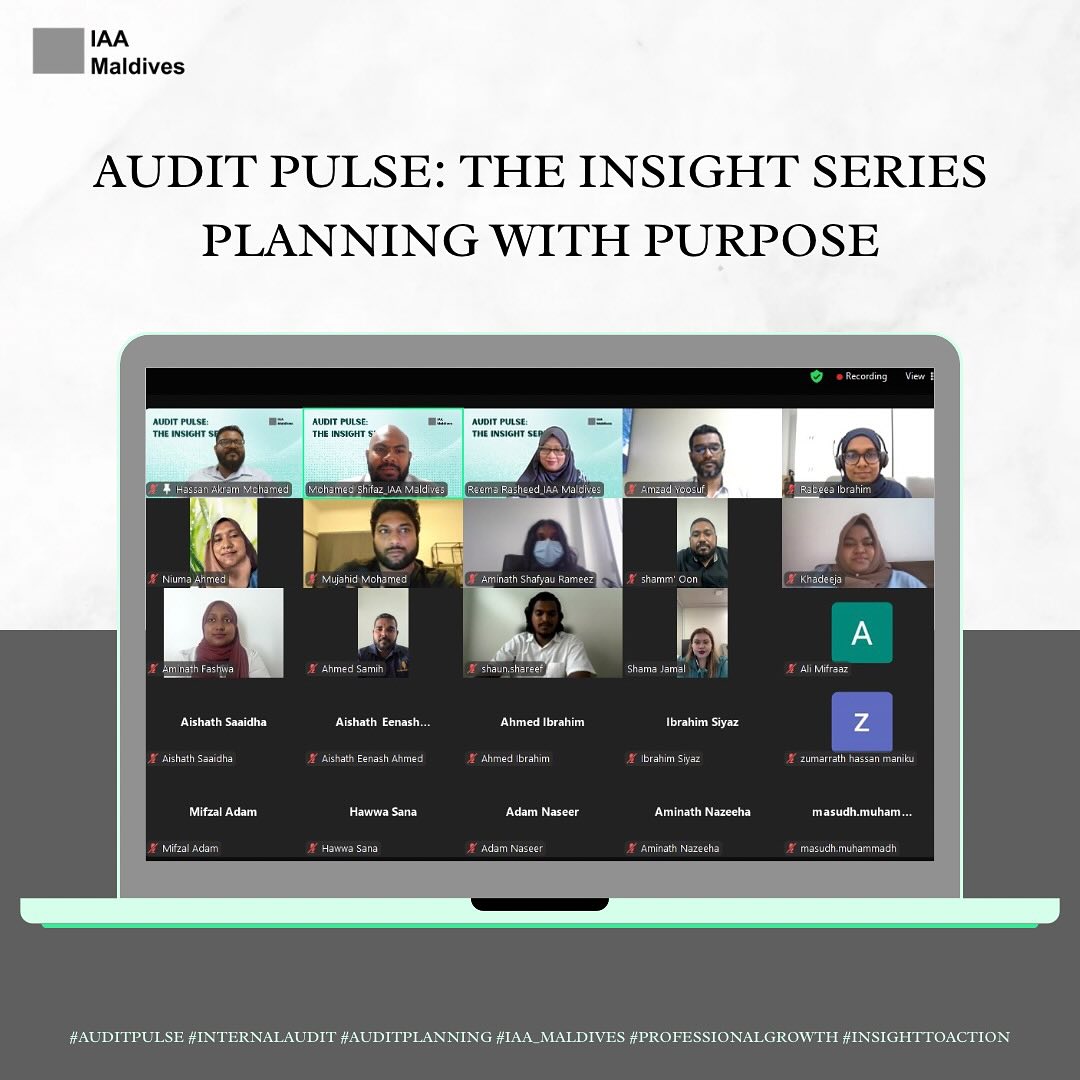 Audit Pulse: The Insight Series Launches — photo 2
